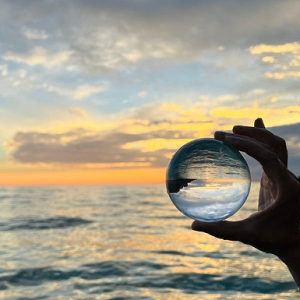 Predictions Plans and the Power of Perspective