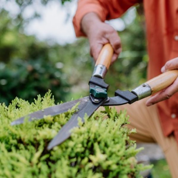 Whats holding you back